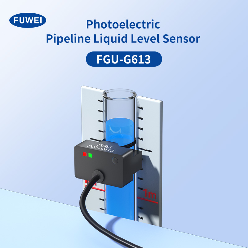 Cảm biến cấp độ ống FGU-G613N